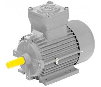 Article image of: Explosieveilige elektromotoren