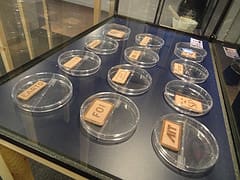 Article image of: ALV Machevo & Bulk Vereniging te gast bij TNO Eindhoven