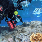 Article image of: Onderwateronderhoud was nog nooit zo eenvoudig